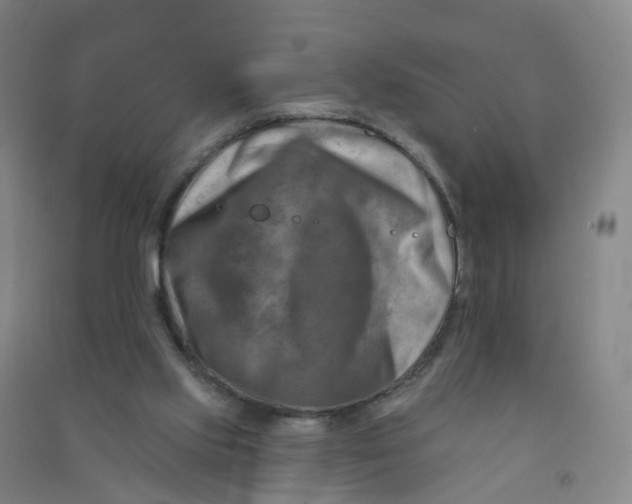 X0000090930061200708201838