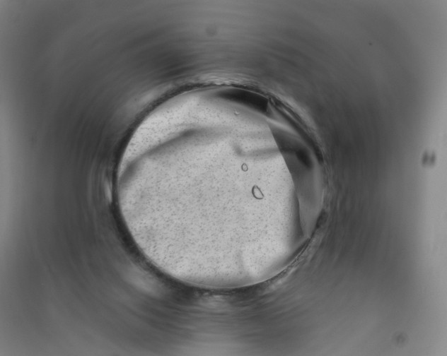 X0000090930062200708201838