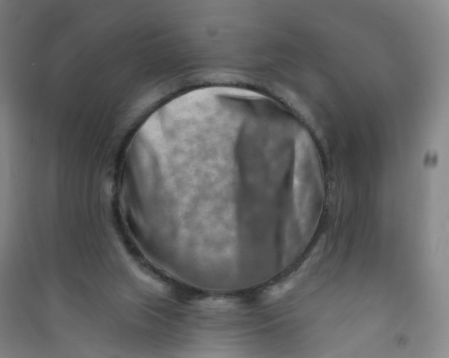 X0000090930063200708201838