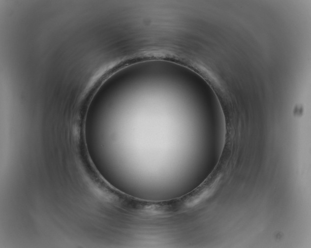 X0000090930064200708201838