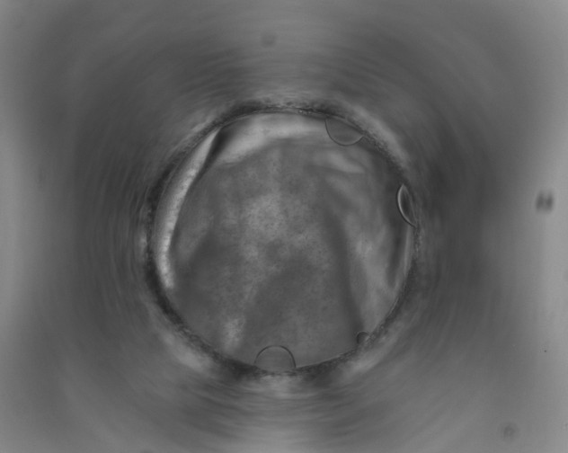 X0000090930065200708201838