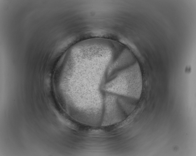 X0000090930066200708201838