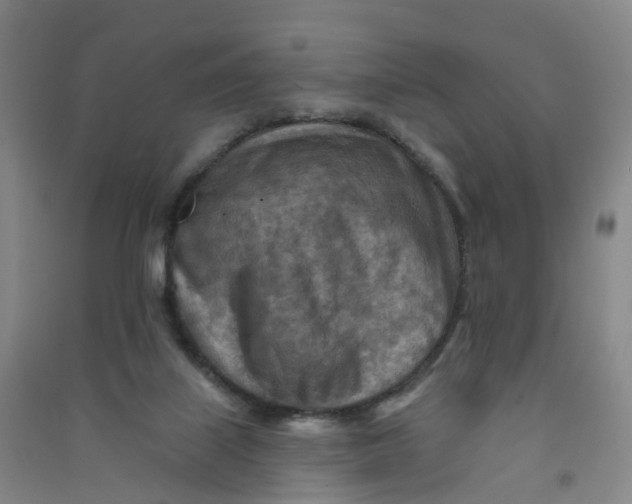 X0000090930067200708201838