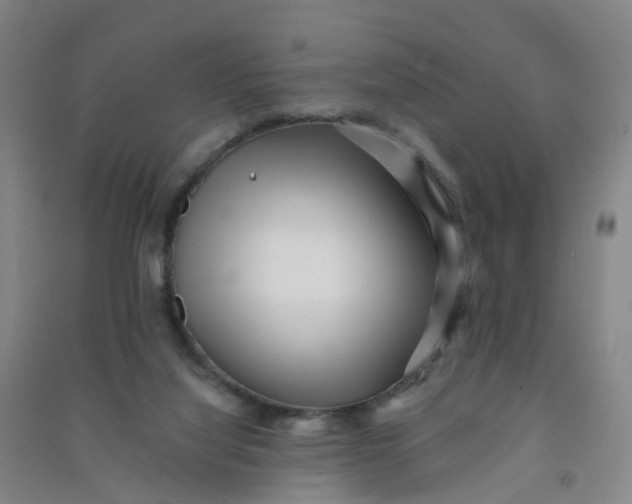 X0000090930068200708201838