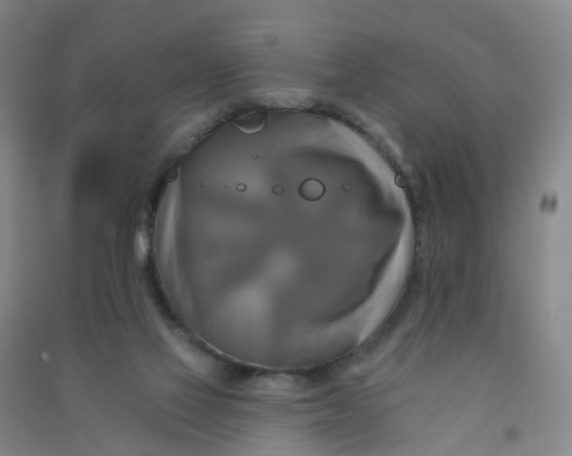 X0000090930069200708201838