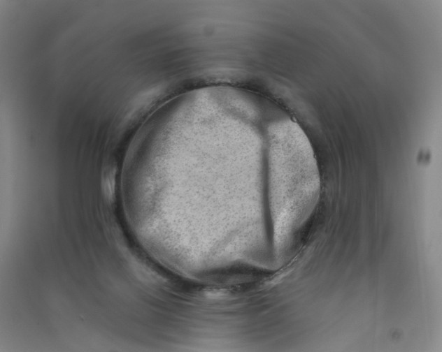 X0000090930070200708201838