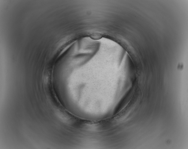 X0000090930071200708201838