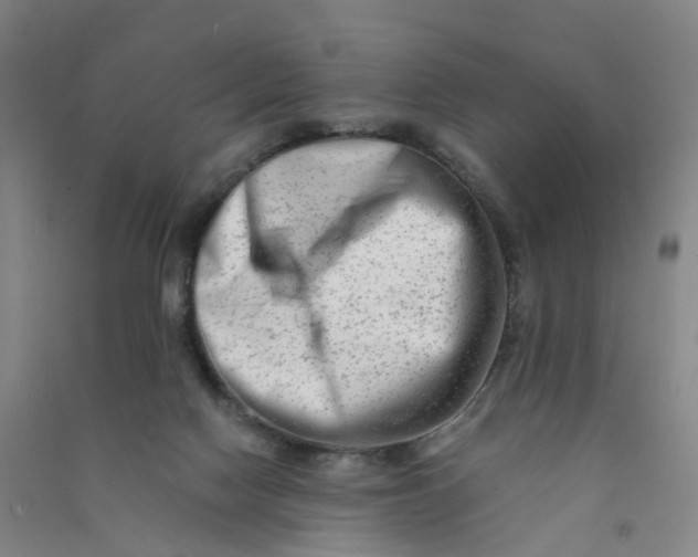 X0000090930074200708201838