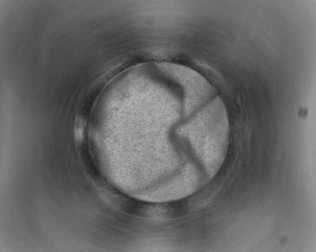 X0000090930075200708201838