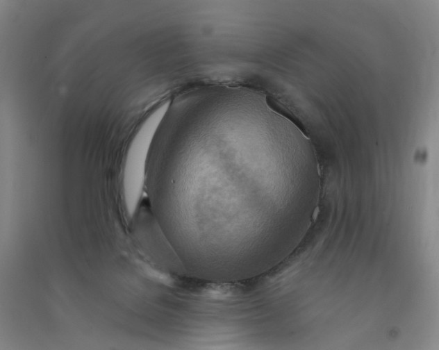 X0000090930076200708201838