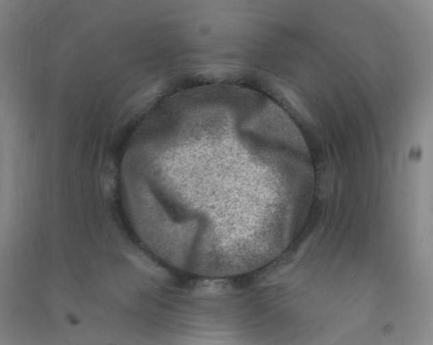 X0000090930077200708201838