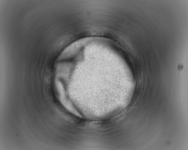 X0000090930078200708201838