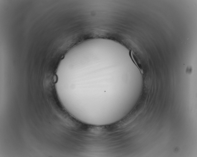 X0000090930079200708201838