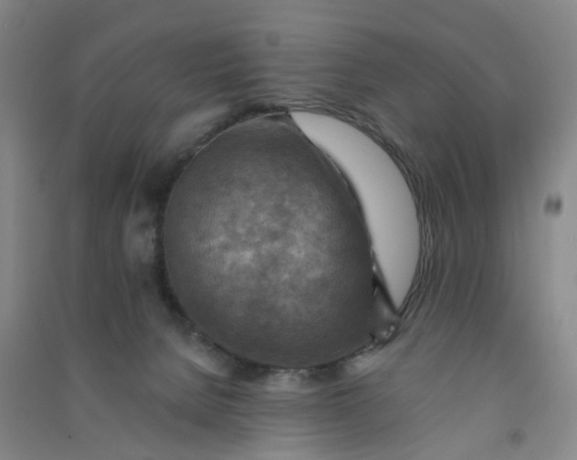 X0000090930080200708201838