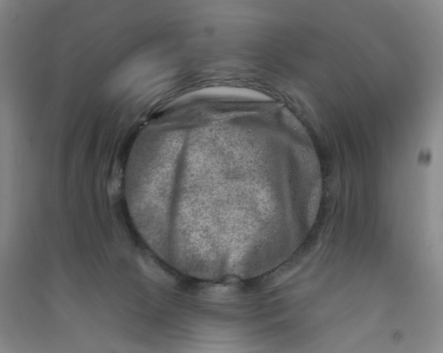 X0000090930081200708201838