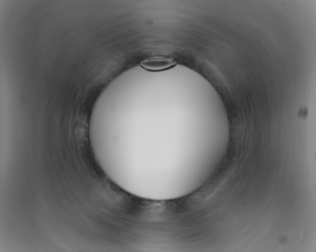 X0000090930083200708201838