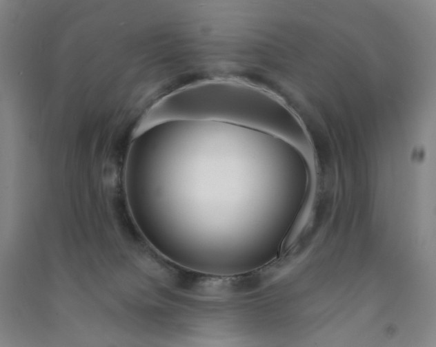 X0000090930084200708201838