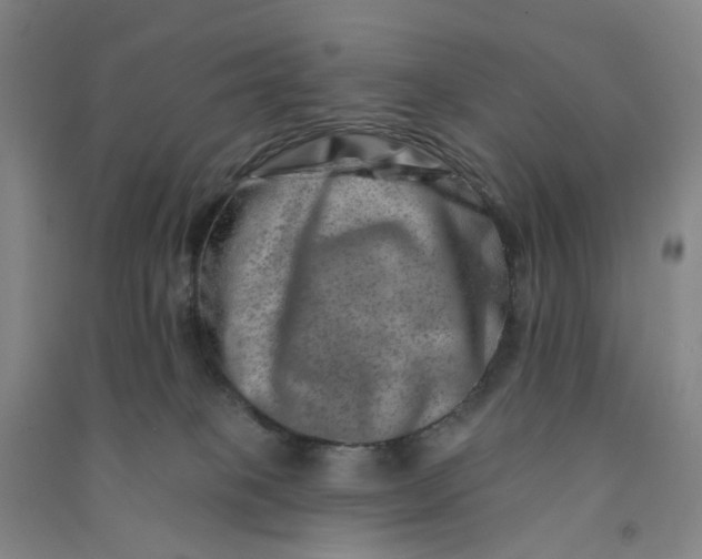 X0000090930085200708201838