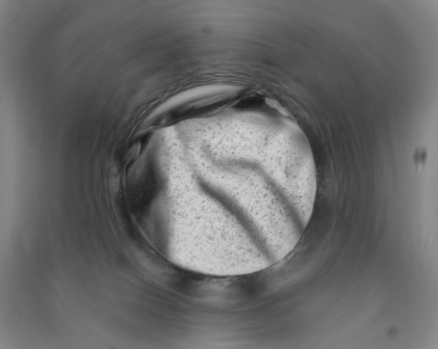 X0000090930086200708201838