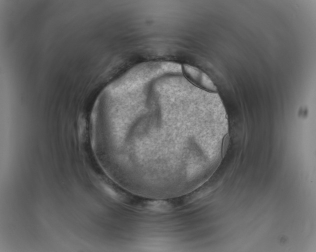 X0000090930087200708201838