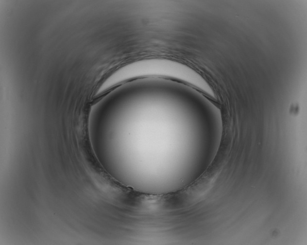 X0000090930088200708201838