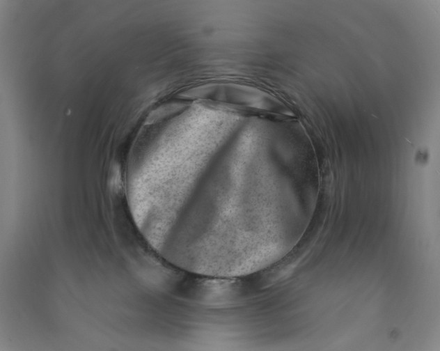 X0000090930089200708201838