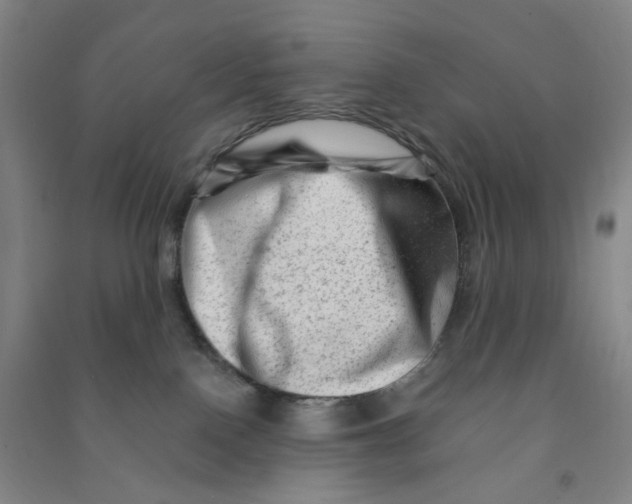 X0000090930090200708201838