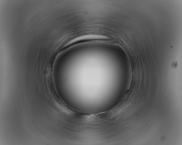 X0000090930092200708201838