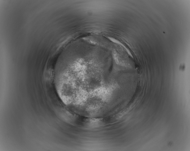 X0000090930093200708201838