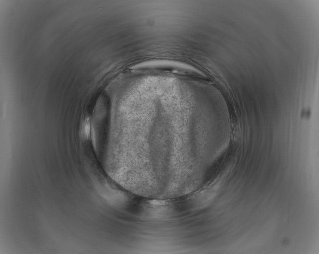 X0000090930095200708201839