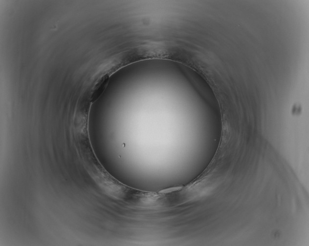 X0000090930096200708201839