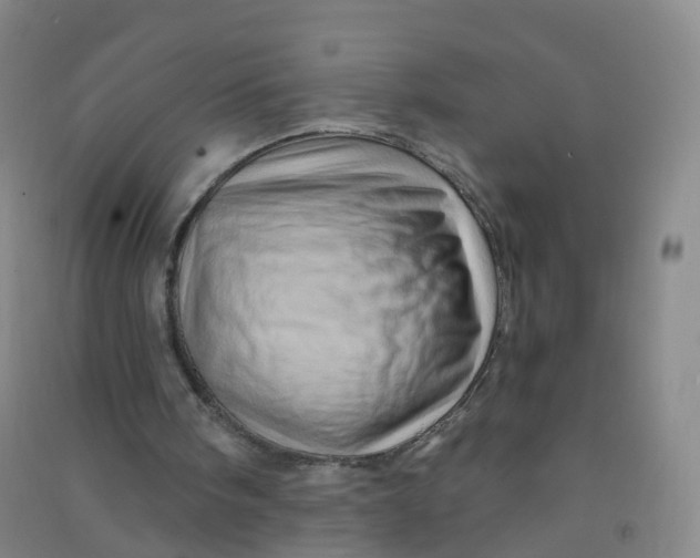 X0000090930098200708201838