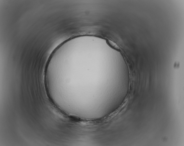 X0000090930100200708201838