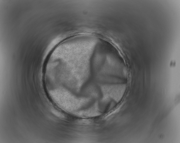 X0000090930102200708201837