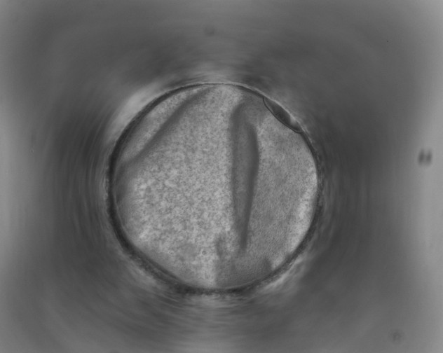 X0000090930103200708201837