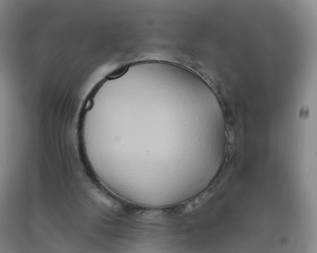 X0000090930104200708201837