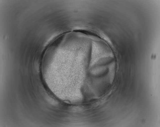 X0000090930106200708201837