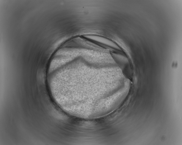 X0000090930107200708201837