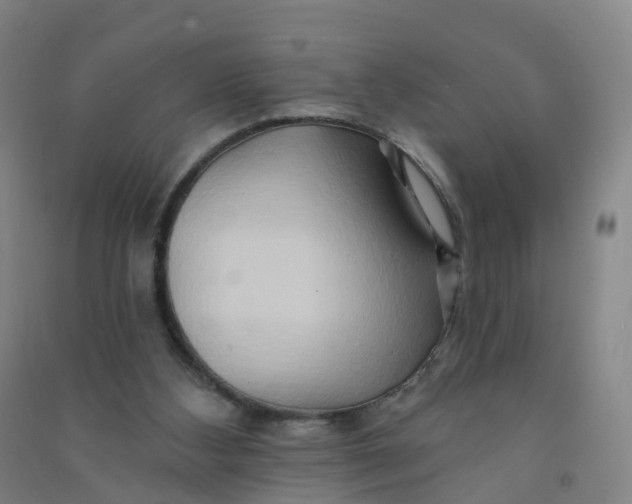 X0000090930108200708201837