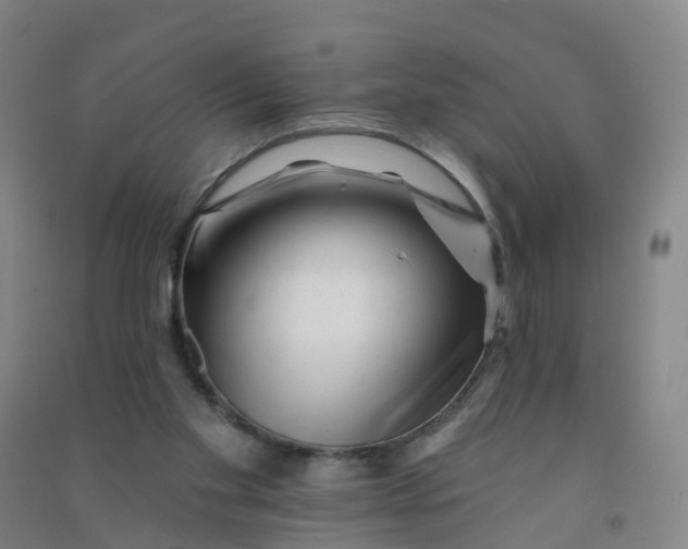 X0000090930109200708201837