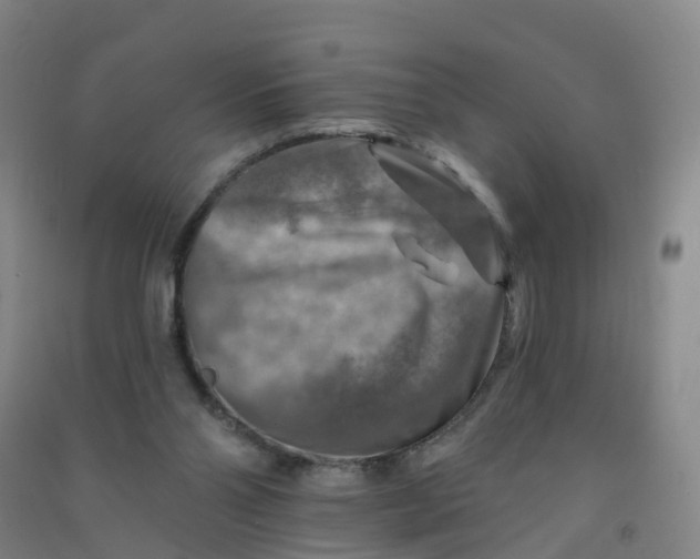 X0000090930110200708201837