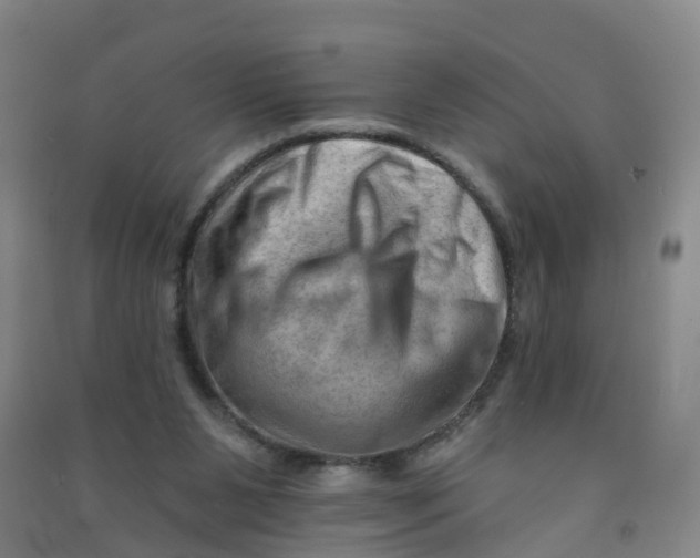 X0000090930111200708201837