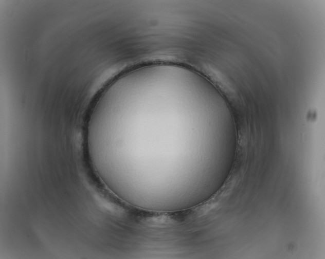 X0000090930112200708201837