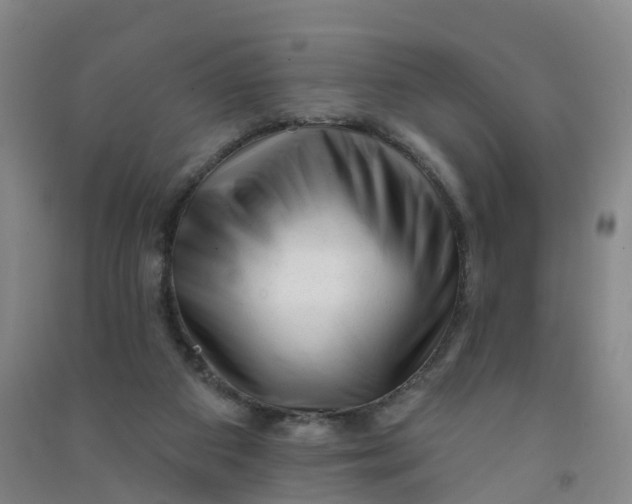 X0000090930113200708201837