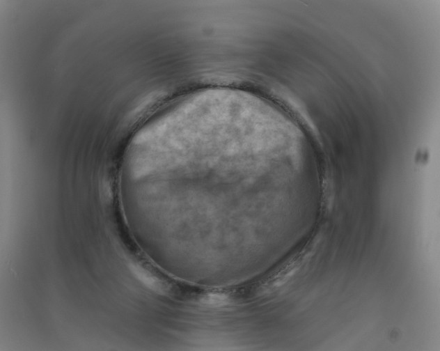 X0000090930114200708201837