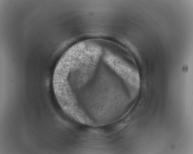 X0000090930115200708201837