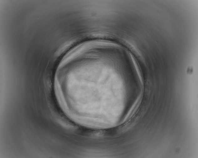 X0000090930116200708201837