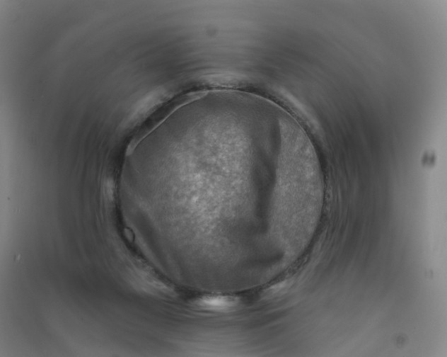 X0000090930117200708201837