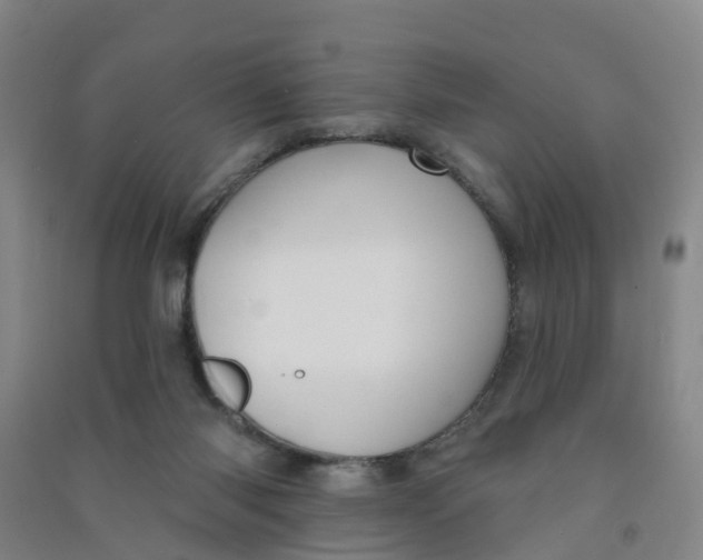 X0000090930118200708201837