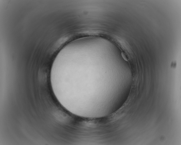 X0000090930120200708201837